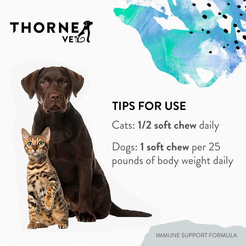ThorneVET Immune Support Formula – Immune Support for Dogs & Cats, 90 Soft Chews - PawsPlanet Australia