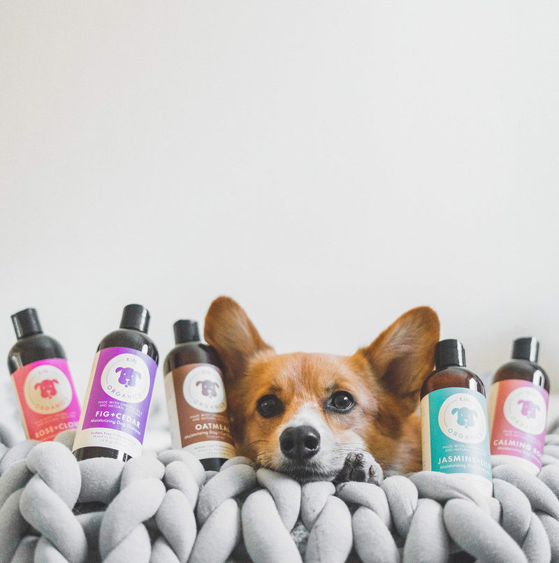 kin+kind kin organics Jasmine+Lily Organic Dog Shampoo, 12 oz - PawsPlanet Australia