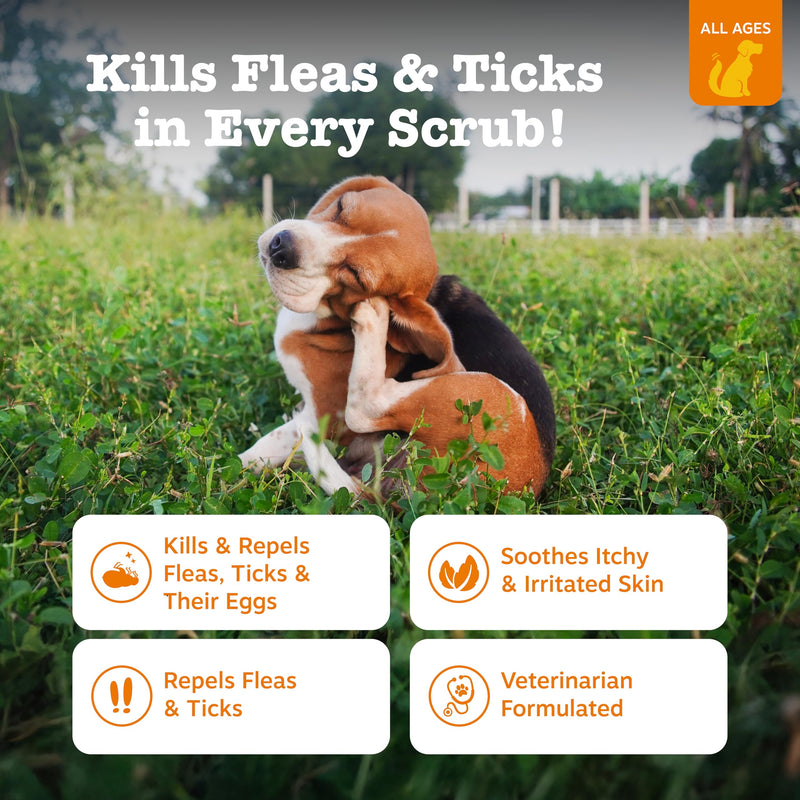 Zesty Paws Wild Alaskan Omega-3 Blend Pollock + Salmon Oil + Flea and Tick Shampoo for Dogs
