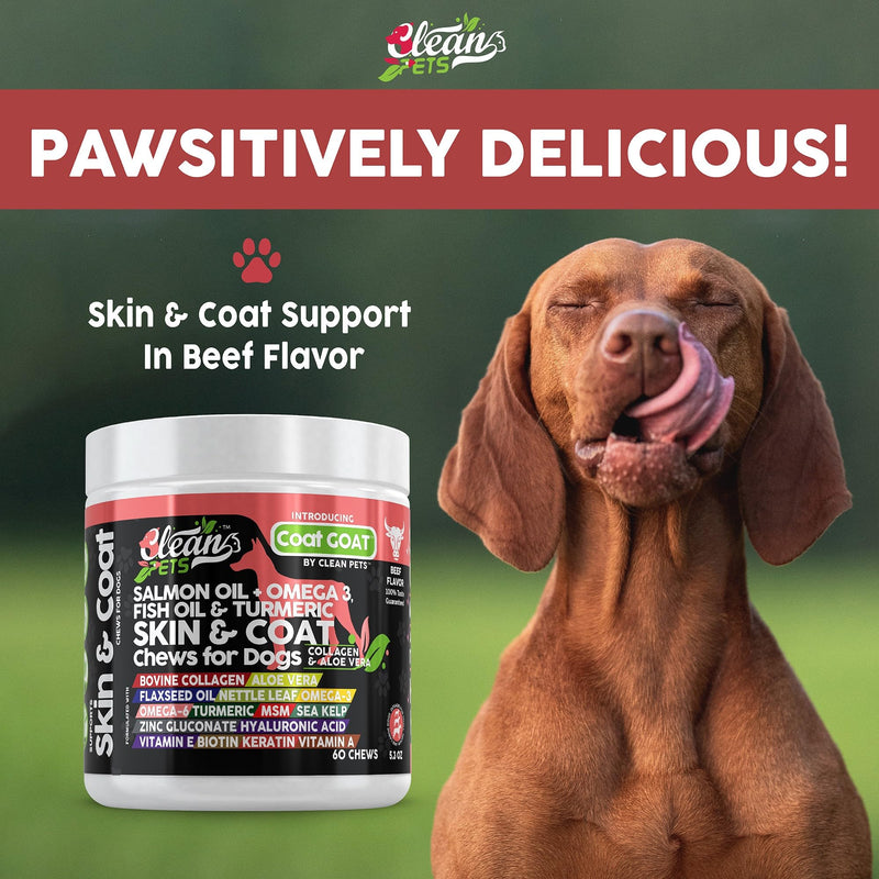 Salmon Oil Omega 3 Fish Oil for Dogs Skin and Coat Supplement | Dog Collagen Aloe Vera Biotin Keratin Flaxseed Nettle Leaf Sea Kelp Hyaluronic Acid Brewers Yeast Vitamin A -Coat Goat by Clean Pets 60 Count (Pack of 1) - PawsPlanet Australia