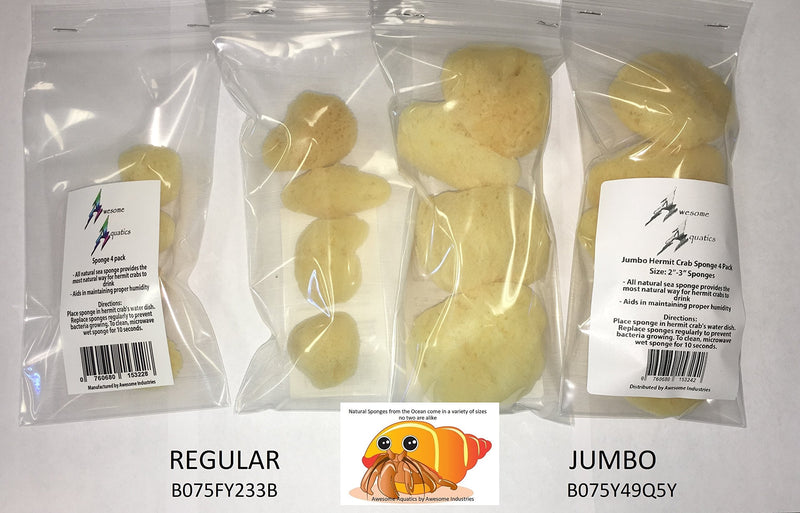 Awesome Aquatic 4-Pack of Hermit Crab Sea Sponges (All Natural Hermit Crab Sponge) Regular 4 pk - PawsPlanet Australia