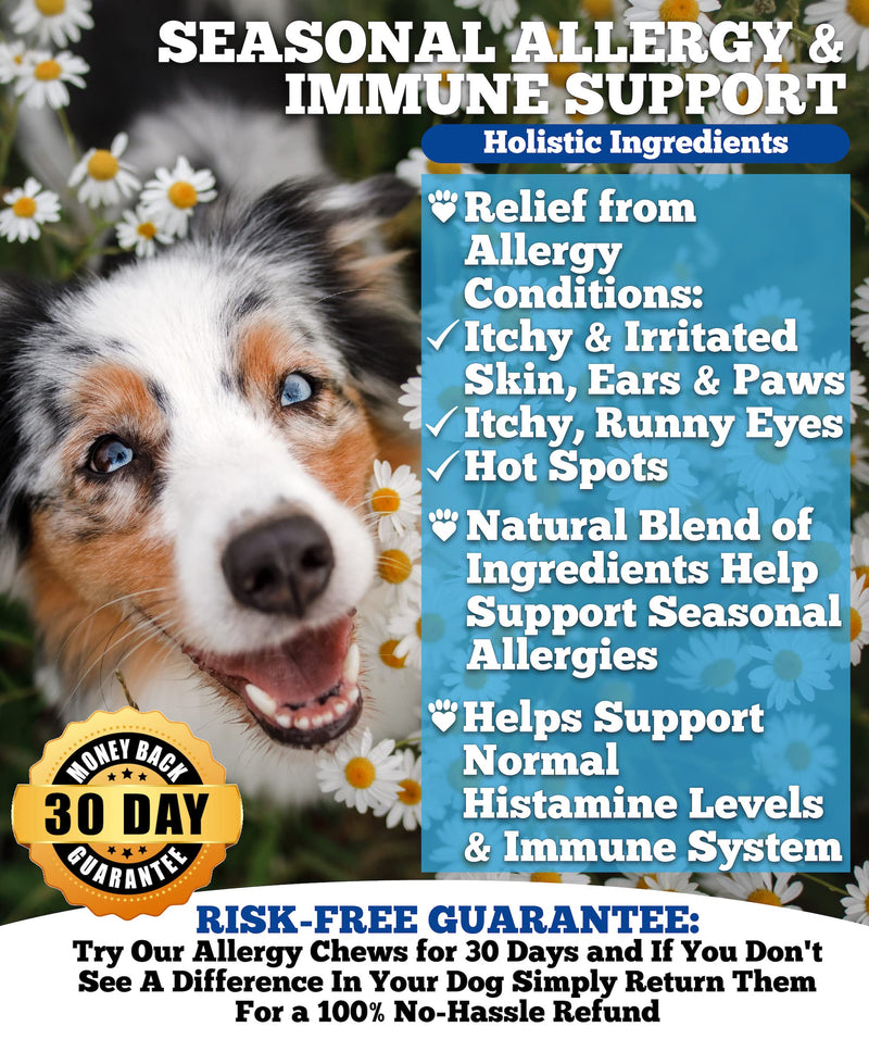 Well Loved Probiotics for Dogs & Well Loved Dog Allergy Chews Bundle, Vet Developed, Made in USA