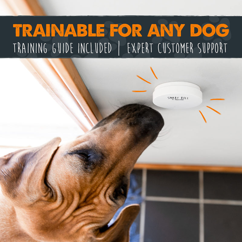 Mighty Paw Smart Bell 2.0 – Potty Training Button for Dogs & Puppies – Train Your Dog to Ring The Bell – Wireless Pet Communication (1 Pack) 1 Activator White