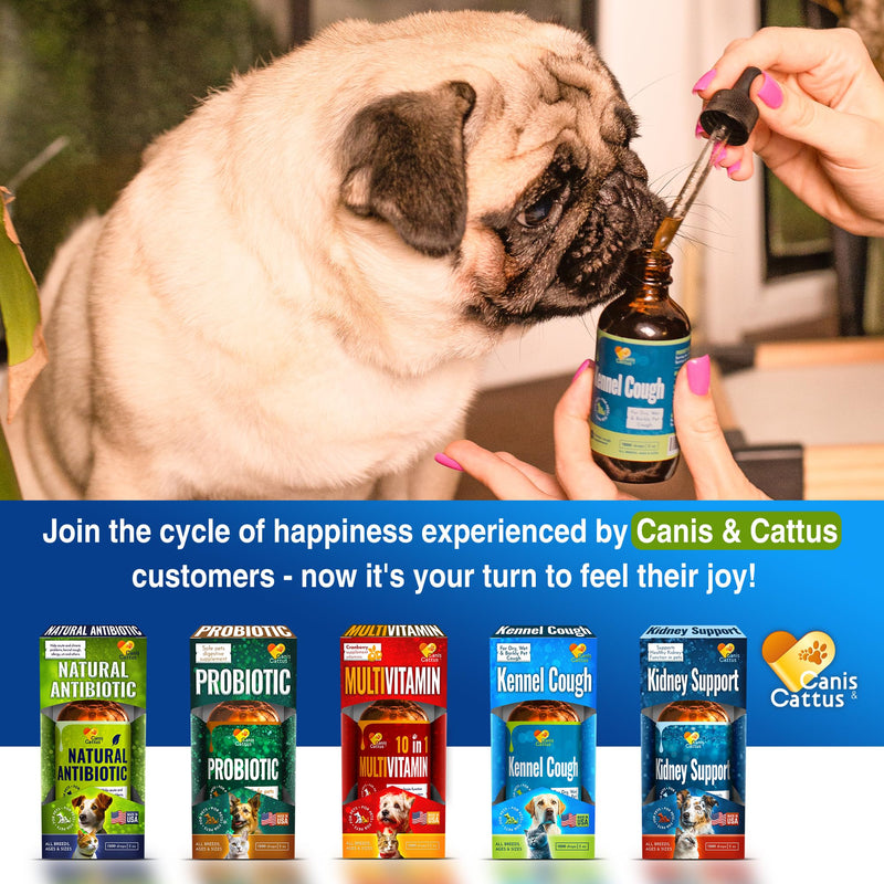 Pet Antibiotic | Dog Cough | Natural Antibiotics for Dogs | Antibiotic for Cats | Kennel Cough | Cat Cough | Antibiotics for Dogs | Bundle 2 Pack x 2 Oz - PawsPlanet Australia