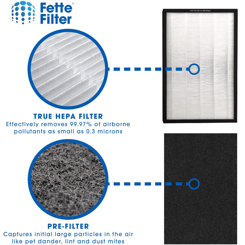 Fette Filter - True HEPA Air Purifier Filter Compatible with Germ Guardian FLT5600 Filter N for Model AC5600W. Compare to Part # FLT5600. (Pack of 2) 2 Count (Pack of 1)