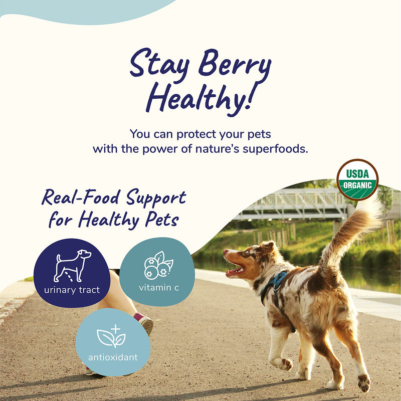 kin+kind Dog Supplement Powder - Cranberry Supplement for Dogs and Cats for Healthy Immunity - Cat & Dog Bladder Support - Natural Formula with Organic Cranberry, Blueberry and Coconut - Made in USA 4 Ounce (Pack of 1) - PawsPlanet Australia