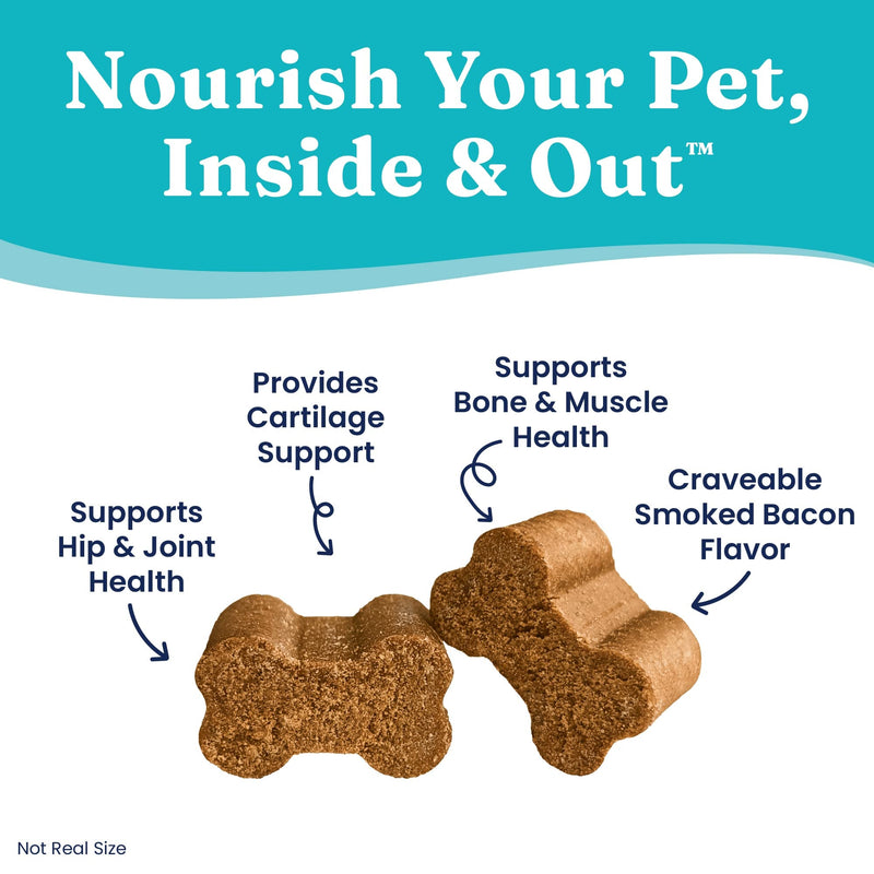 Solid Gold Glucosamine for Dogs Hip and Joint Supplement - Glucosamine Chondroitin MSM for Dog Pain Relief - Leaps & Hounds Chews for Dog Arthritis Pain Relief & Overall Mobility - 120 Soft Chews Complete Joint Health - 120 Chews - PawsPlanet Australia
