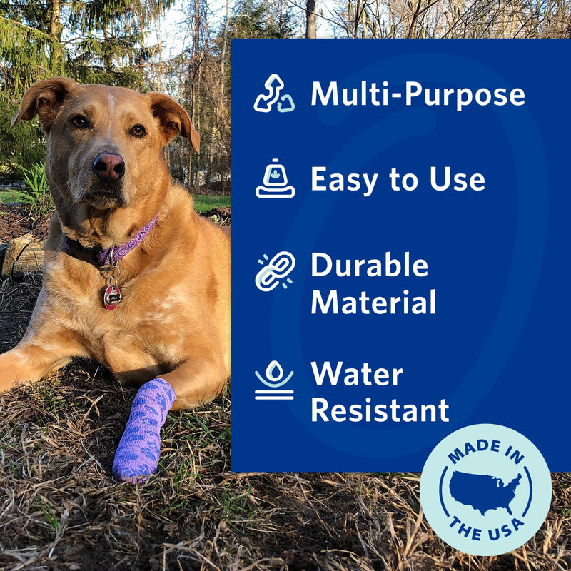 OVIK Health PetFlex No Chew – Flexible Self-Adhering Elastic Bandage for Wound Care – First Aid Wrap for Small Animals Like Dogs, Cats, and Other Pets - 2 inch, 6 Rolls 6 Count