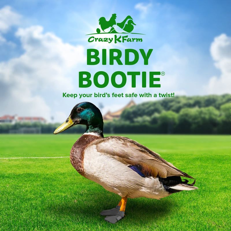 Duck Shoes for Injured Feet – Protective Neoprene Footwear for Ducks, Protective Shoes for Birds with Injured feet, Bumblefoot Relief - Small, 2.5’’ Max. Inside Width - Gray Small Ducks DUCK AND GOOSE SHOES