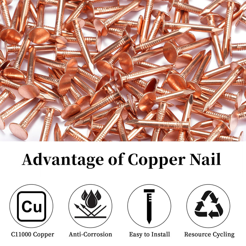 GOORY 120Pcs Copper Nails 1 Inch - with 1/16 Inch Drill Bit - 99.95% Pure Copper Roofing Nails Slate Spikes Flashing Furniture Boat for Roof Repair, Tree Stump Remover, DIY Project