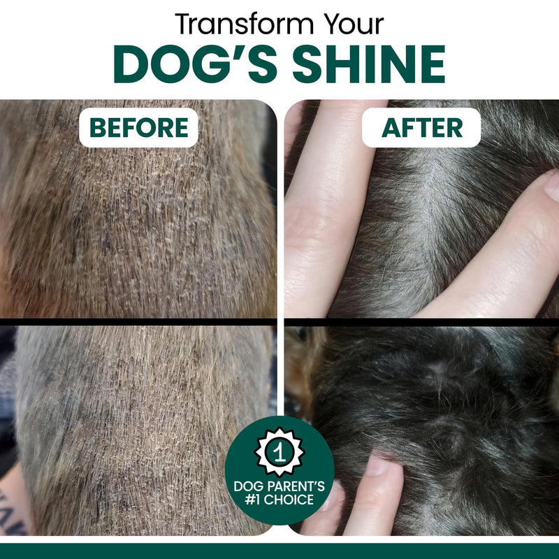 Vegan Omega 3 Oil for Dogs - 8 oz of Fish Free Algae Oil for Healthy Skin and Coat - Made with Omega 3 and 6 Fatty Acids, EPA, DHA, and DPA - Made in the USA 8 oz.
