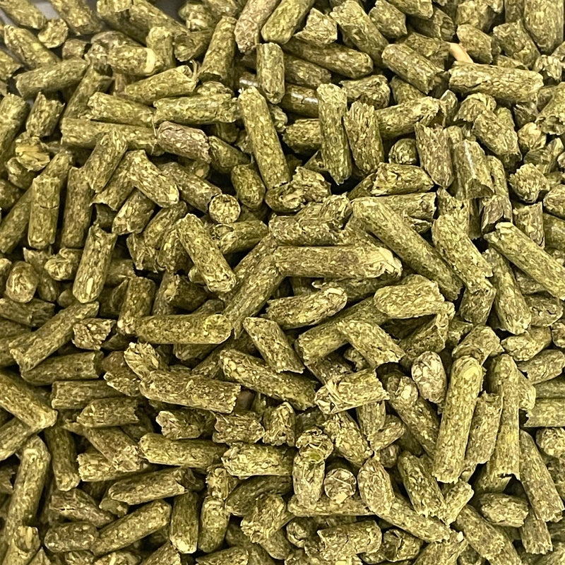 All Natural Alfalfa Pellets for Small Pets - 12 oz - Nutrient-Rich Blend 12 Ounce (Pack of 1) - PawsPlanet Australia