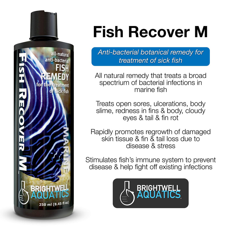 Brightwell Aquatics Fish Recover M – Botanical Remedy for Treating Marine Fish Health Issues, 250 ml 250-ml