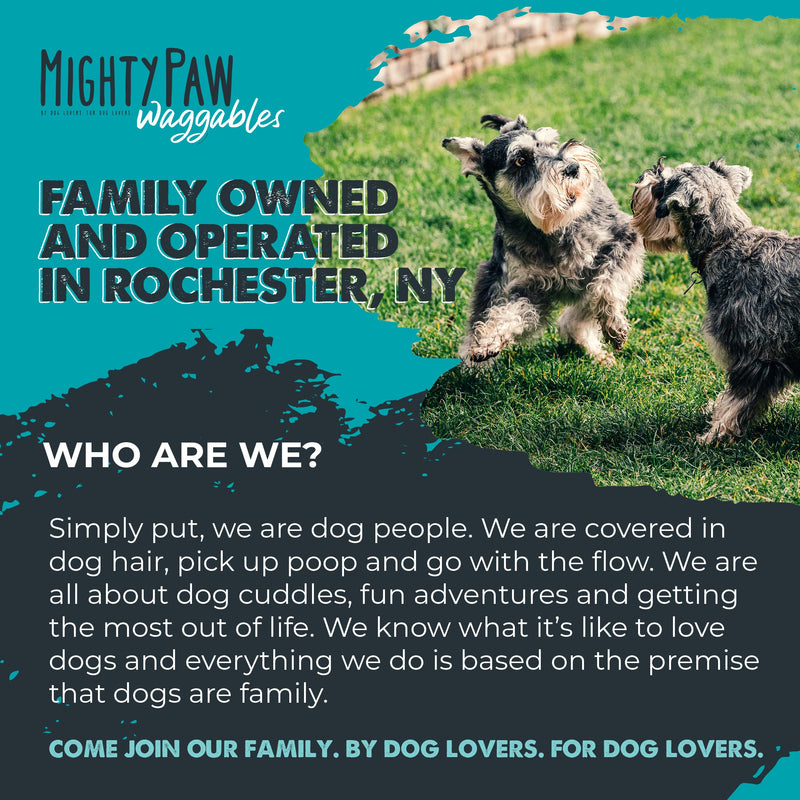 Mighty Paw Waggables Joint Support Supplement for Dogs (Made in USA) | Glucosamine for Dogs Hip and Joint Supplement. Vet Formulated Pet Mobility, Chondriotin & MSM Pet Chews (120 Ct) - PawsPlanet Australia