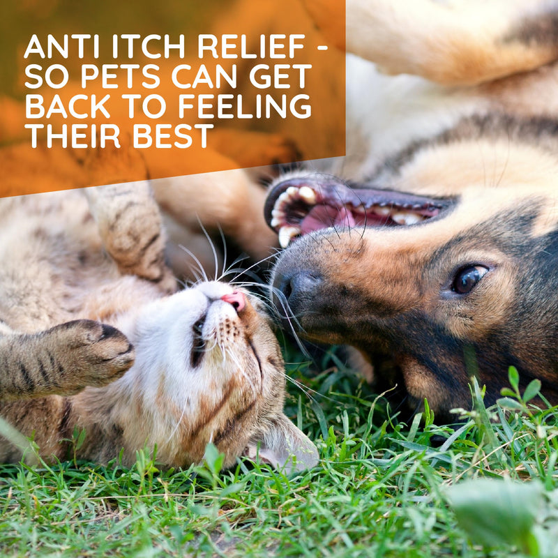 T-Relief Pet Allergy Support for Dogs & Cats Itchy Relief Supports Healthy Skin & Coat Natural Medicine Helps Soothe Hot Spot Itching Paws Licking Runny Nose Sneezing Watery Eyes - 90 Tablets - PawsPlanet Australia