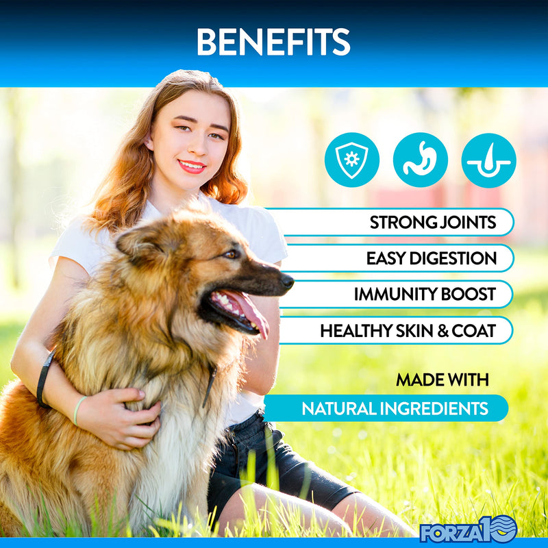 Forza10 Dog Vitamins Supplements, Dog Multivitamin Chews, Pet Vitamins for Dogs, Peanut Butter Flavor Dog Supplement, Multivitamin for Dogs, Senior Dog & Puppy Vitamins, Small to Large Breeds, 90 Ct. - PawsPlanet Australia