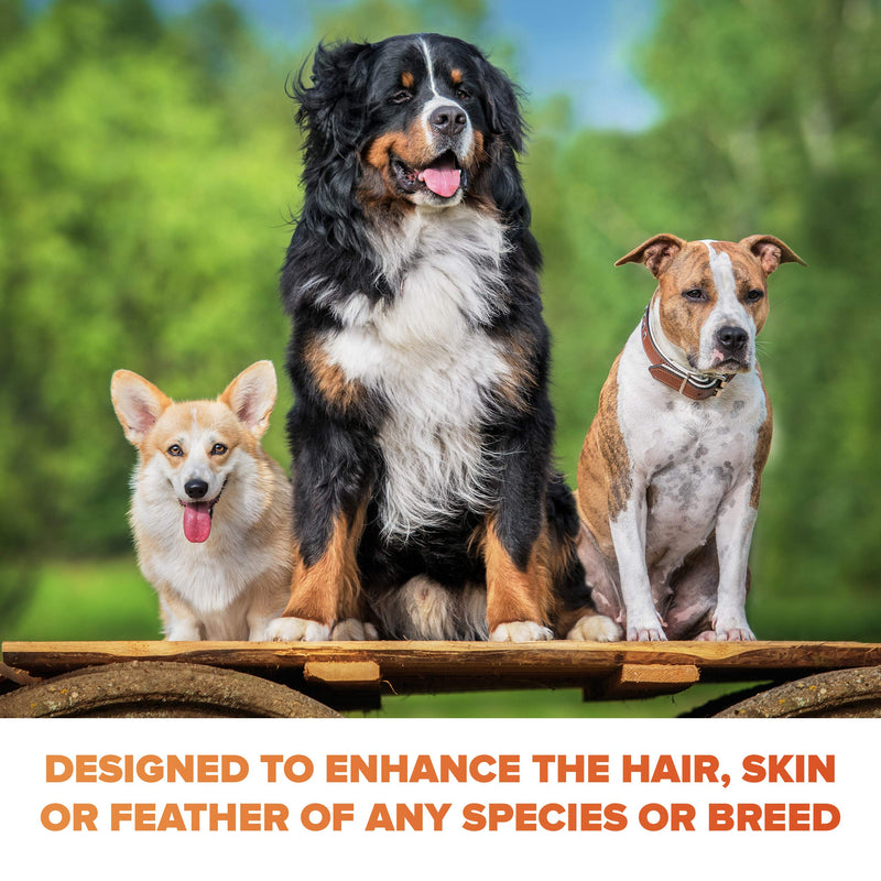[Australia] - Panagenics | Pet Shampoo - Safe for ALL animals, Unscented, Contains Citrus and Aloe Active Ingredients - 16 ounce bottle 