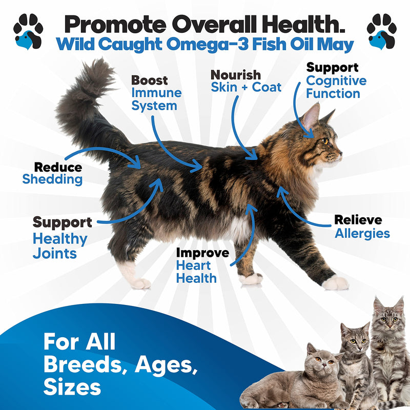 Omega 3 Fish Oil for Cats - Better Than Salmon Oil for Cats - Kitten + Cat Vitamins and Supplements - Cat Health Supplies - Cat Dandruff Treatment - Liquid Fish Oil for Pets - Cat Shedding Products - PawsPlanet Australia