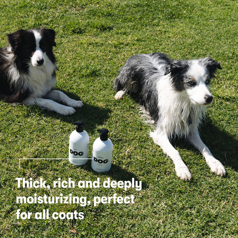 DOG by Dr. Lisa Leave-in Conditioner w/Coconut Oil, Rose Water, Chamomile, Natural, No Rinse, Moisturizing Coat & Skin Conditioning Treatment w/Plant Based Essential Oils, Vegan,16.9 oz Bottle - PawsPlanet Australia