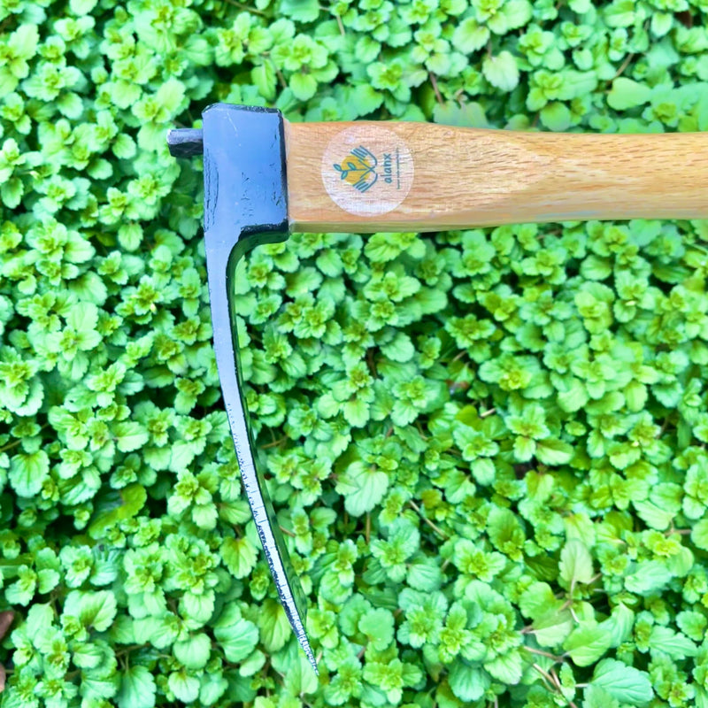 14 Inch Wide Hoe, Heavy Duty Hoe, Japanese Carbon Steel Wide Hoe with Oak Wooden Handle, Without Welding, Garden Hoe for Digging, Weeding, and Planting