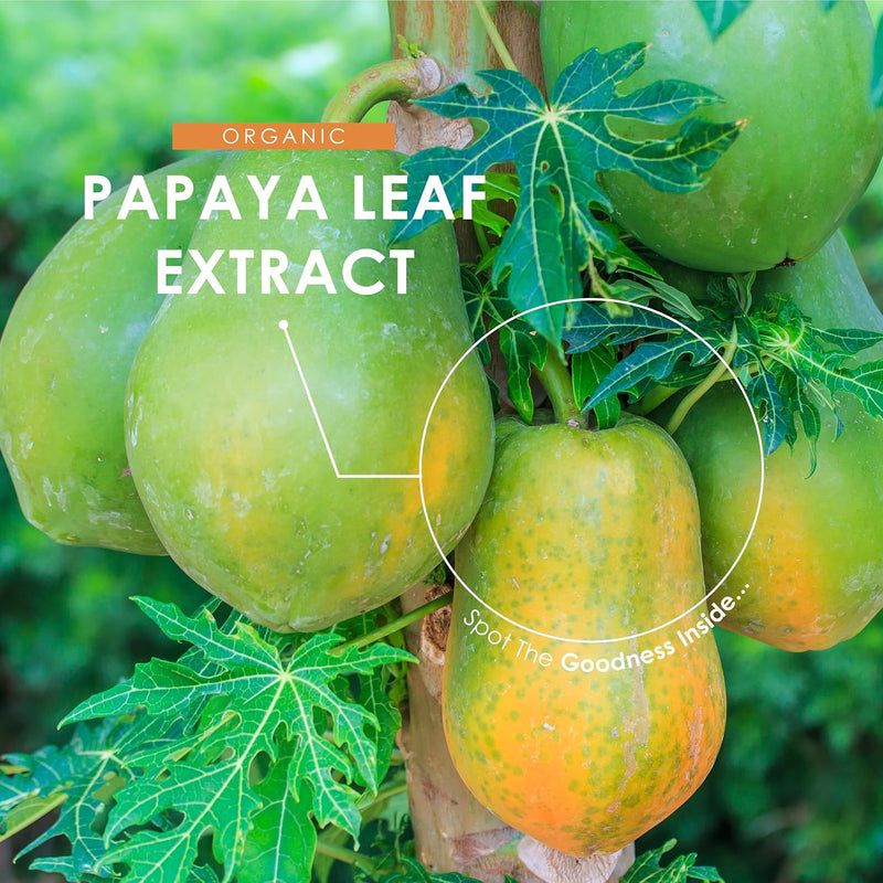 Organic Papaya Leaf Extract 12,000mg - High Strength Carica Papaya Extract – 90 Vegan Capsules – Resealable and Recyclable Pouch by Alpha01 - NewNest Australia