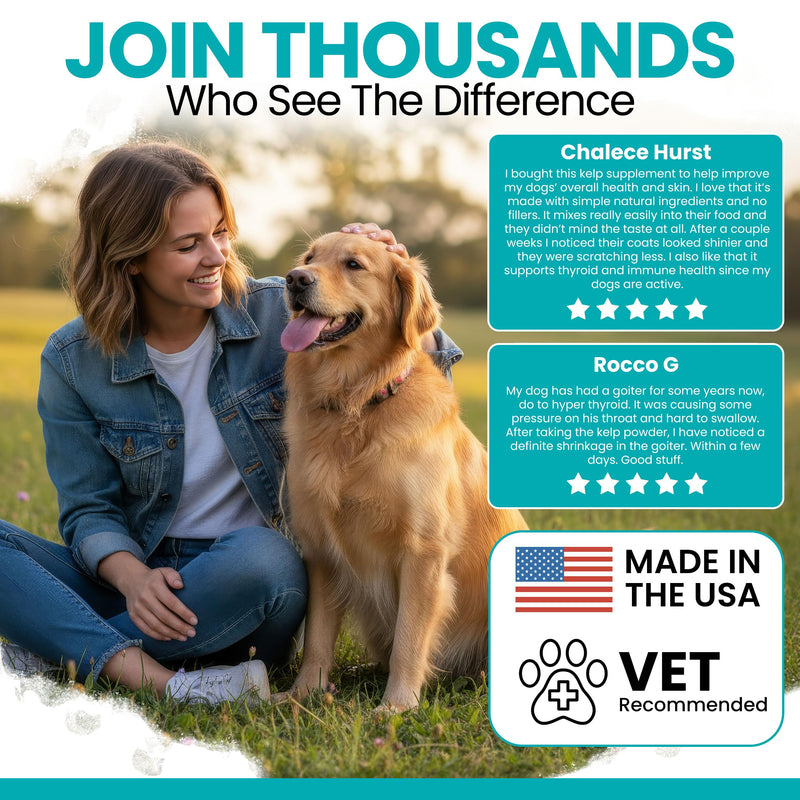 Kelp Supplement for Dogs - 16 oz of Kelp Powder Granules with 5cc Spoon - Good for Healthy Thyroid Function, Reduce Dental Plaque, and Skin Health - Made in the USA