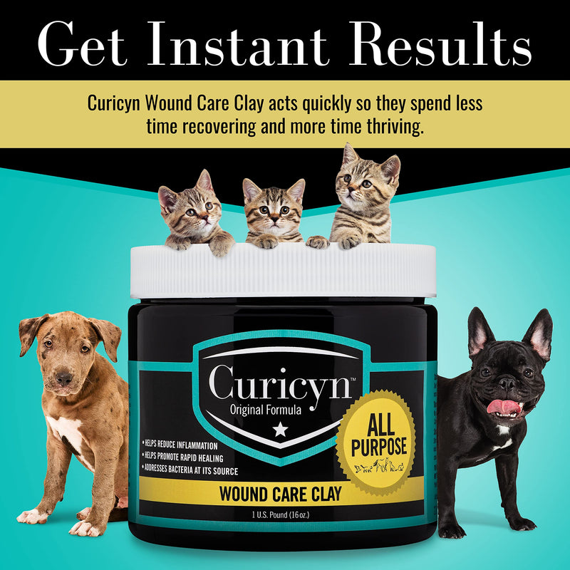 Animal Wound Care Clay 16oz. - Vet-Approved Natural Skin Ointment For Dog, Cat, Horse, and Other Livestock - Bentonite Clay with Aloe Treatment - Gentle No Sting Fast-Acting Formula - PawsPlanet Australia