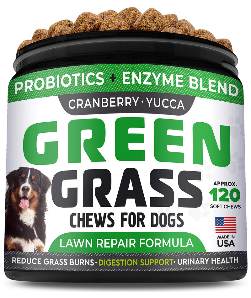 StrellaLab Grass Restore Treats for Dogs - Dog Pee Lawn Repair Chew Probiotics + Digestive Enzymes, Cranberry - Dog Urine Neutralizer for Grass Burn Spots - Health & Wellness Supplements for Dog