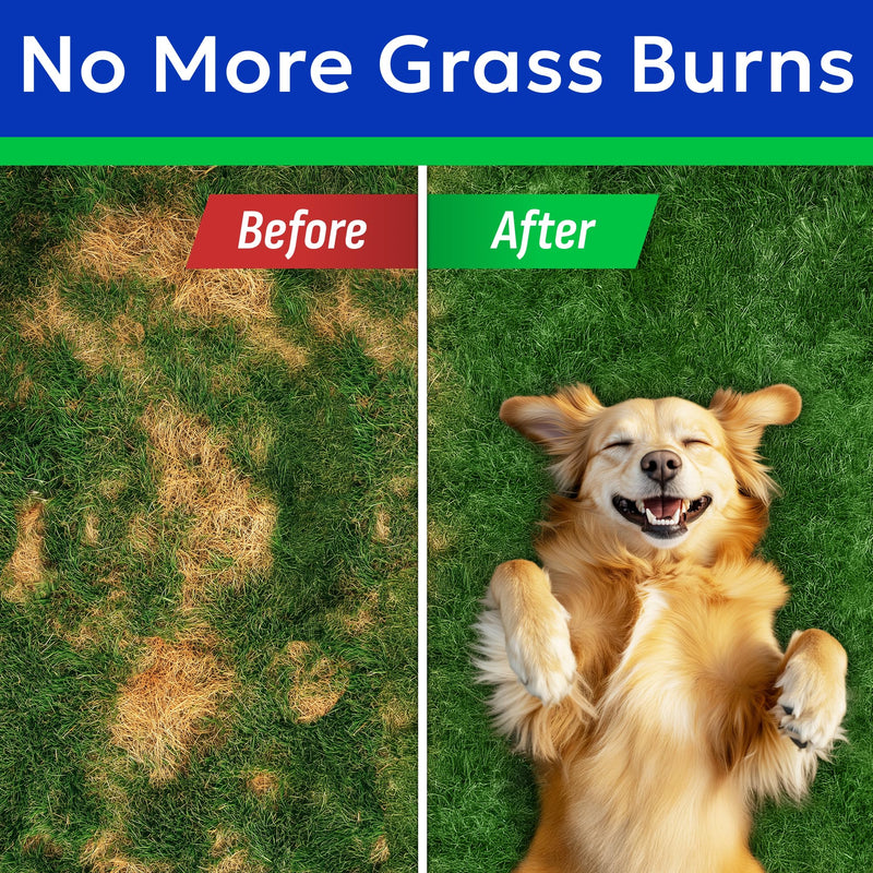 BARK&SPARK Green Grass Chews - Pee Grass Spot Saver Caused by Dog Urine - Urine Neutralizer for Lawn, Gut Health Probiotics & Digestive Enzymes,Lawn Burn from Dog Urine, Grass Burn Spot Chews (240Ct) 240Ct (Chicken)