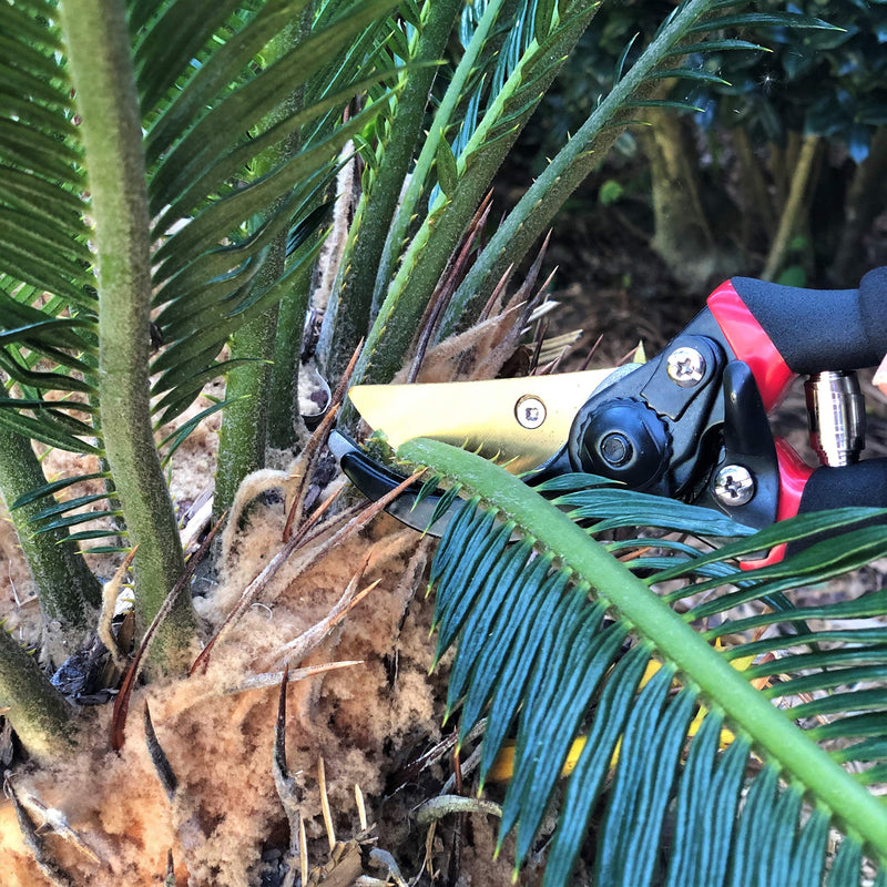 Mr. Pen- Pruning Shears, Garden Shears, 8" Professional, Titanium Blade, Garden Scissors, Gardening Shears, Garden Clippers, Bypass Pruners, Garden Shears Pruning, Pruning Scissors, Garden Tools