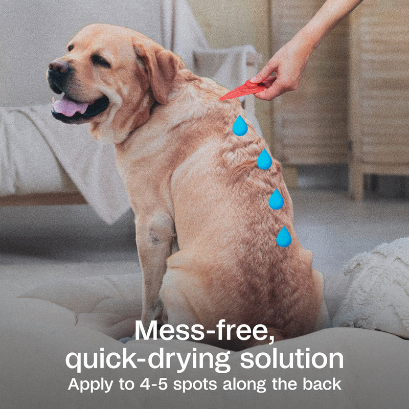 ADAMS Plus Flea & Tick Prevention Spot On for Dogs, Extra Large Dogs, Kills Fleas & Ticks (Brown Dog/Deer Ticks), Kills and Repels Mosquitoes, Prevents Flea Infestations, 3-Month Supply, 3 Pack X-Large Dog 61-150 Pounds