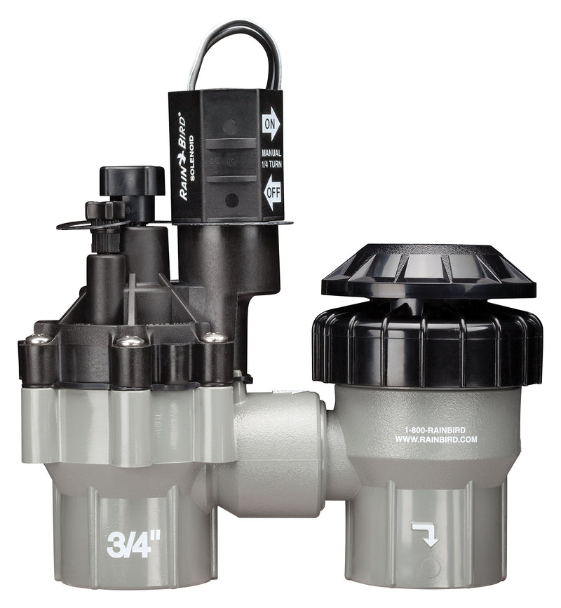 Rain Bird DASASVF075 Professional Grade Anti-Siphon Valve with Flow Control, 3/4" Threaded Female x Female 0.75 Inch