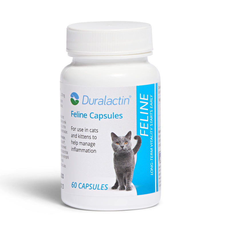 PRN Pharmacal Duralactin Feline - Joint Health Supplement for Cats & Kittens Supports Chronic Soreness, Joint Health & Overall Wellness - Gelatin Capsules Containing Dried Milk Protein - 60 Capsules