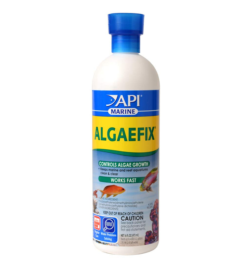 API MARINE ALGAEFIX Algae Control 16-Ounce Bottle 16 Fl Oz (Pack of 1) Aquarium Pond Water Treatment