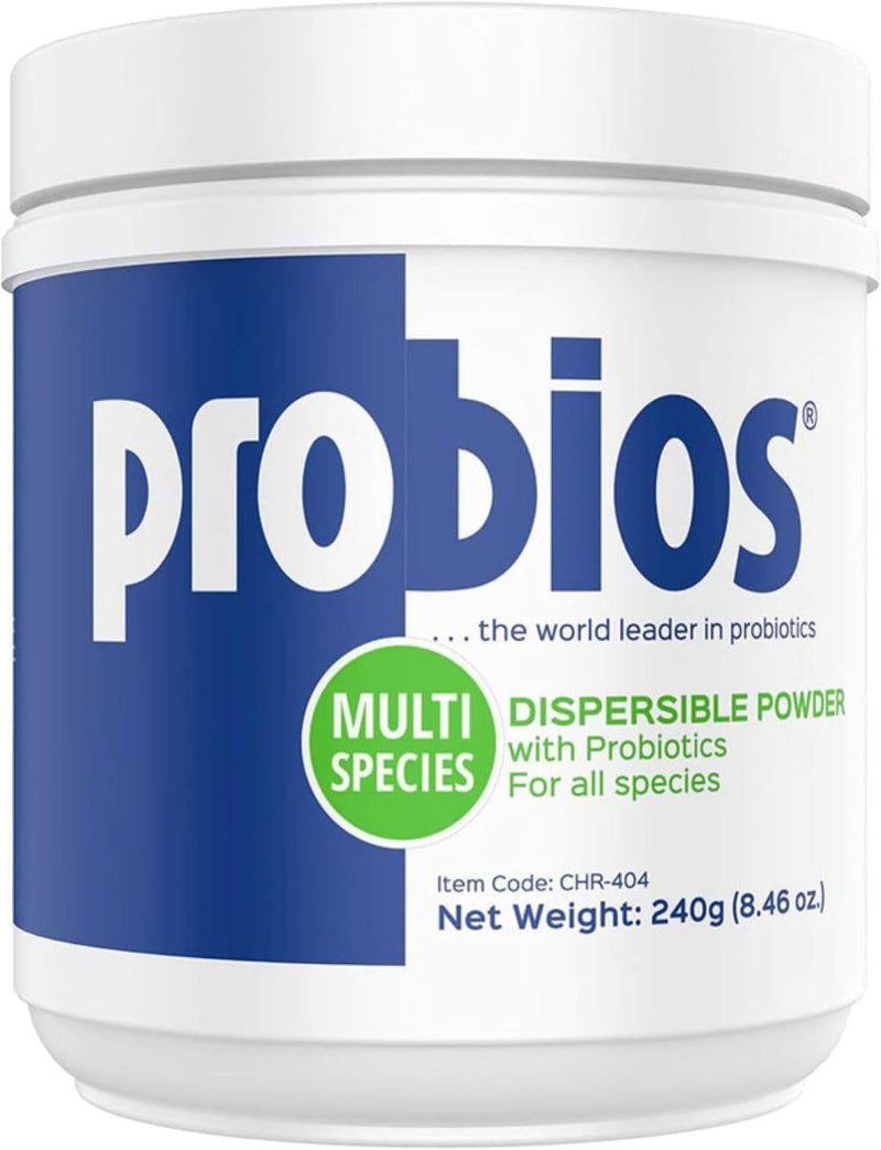 Probios Dispersable Powder - Probios Powder, Pet Probiotic, Probiotics for Swine, Equine, Sheep, Goat, Dog, Cat, Bird, Rabbit, Foals (240 gm) 8.46 Ounce (Pack of 1) - PawsPlanet Australia
