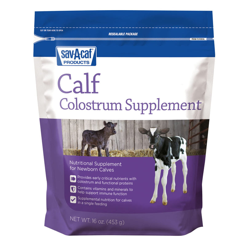 Sav-A-CAF, 16 oz, Colostrum Supplement - PawsPlanet Australia