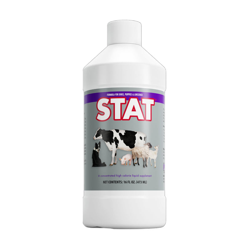 PRN Pharmacal STAT - High Calorie Nutritional Supplement to Help Restore Hydration & Nutrition Levels in Animals - Vanilla Flavored Dietary Support with Vitamin A, D3, C, E, & More - 16 Fl Oz - PawsPlanet Australia