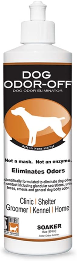 Odorcide 210R Original Ready-to-Use Soaker Pet Odor, 16 oz - PawsPlanet Australia