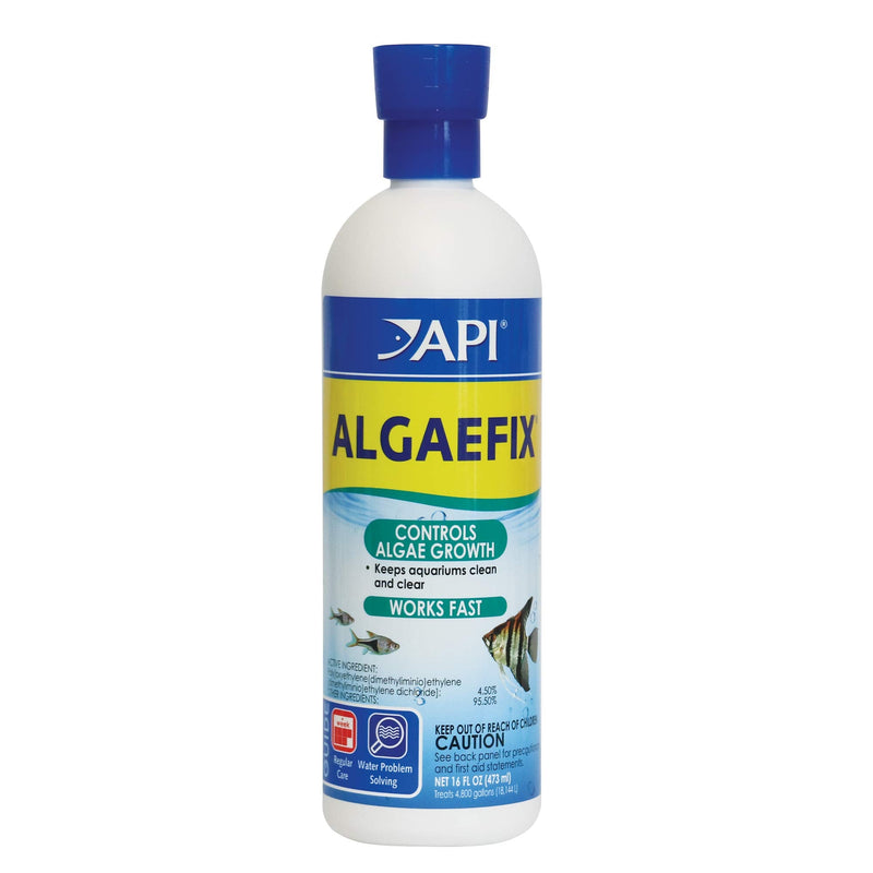 API ALGAEFIX Algae Control 16-Ounce Bottle Freshwater
