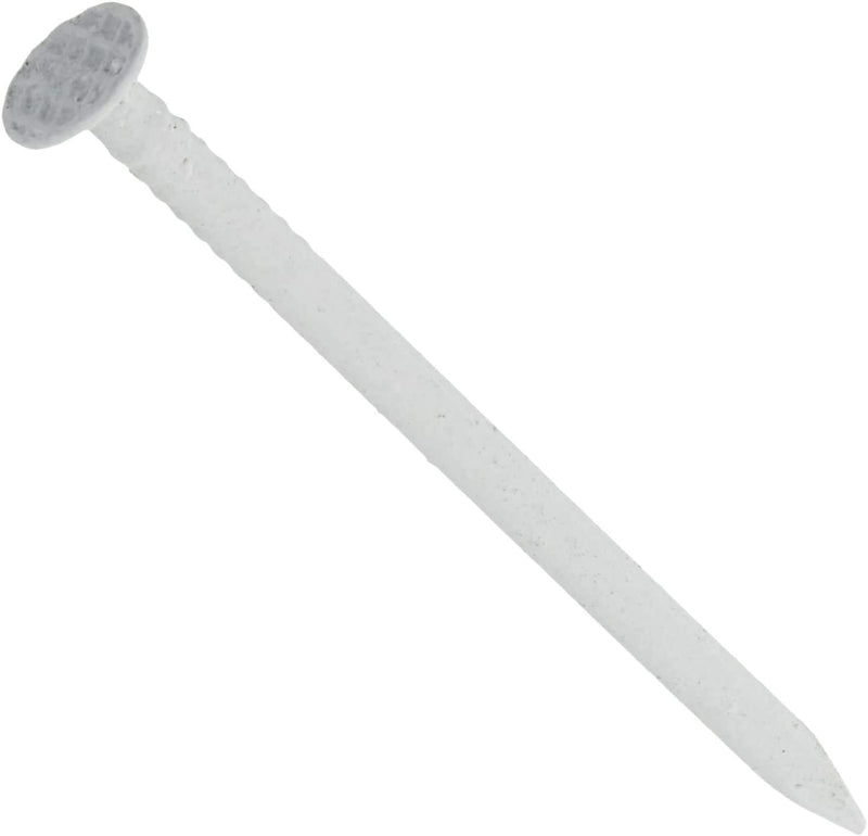 HILLMAN FASTENER 42077 Ss Trim Nail, 1-1/4", Clay 1-1/4"