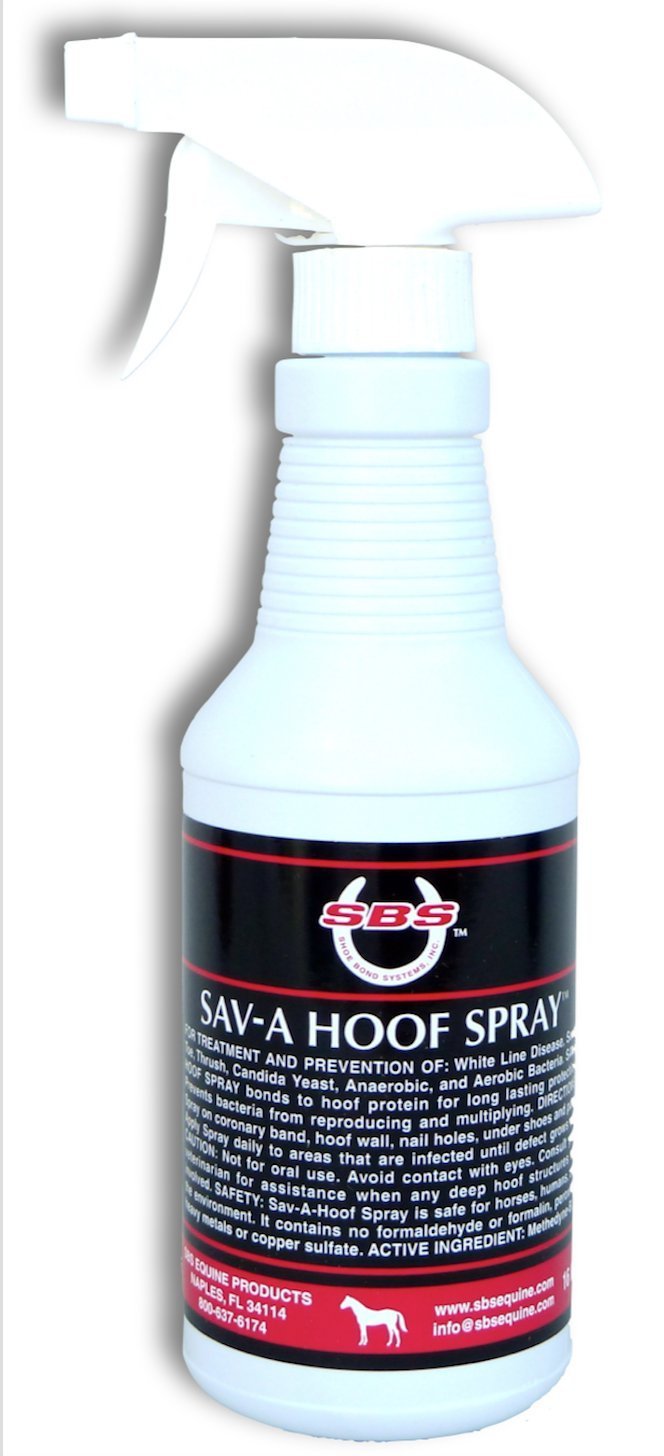 SBS Equine Item 316 hoof Treatment, 16 fl. oz. Spray - PawsPlanet Australia