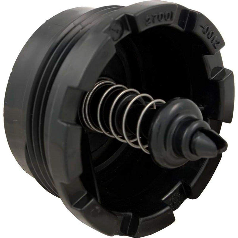 Pentair 27001-0130S Spring Check Valve Replacement Sta-Rite Pool/Spa D.E. and Cartridge Filter