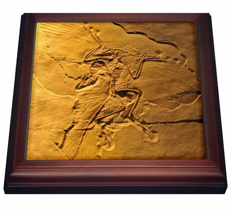 3dRose Archaeopteryx from the Jurassic Germany-Trivet with Ceramic Tile, 8" x 8", Brown