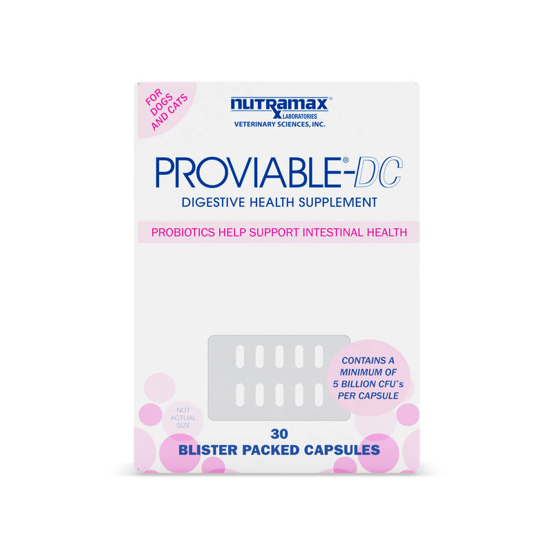 Nutramax Proviable Health Supplement for Cats and Dogs 30 Count - PawsPlanet Australia