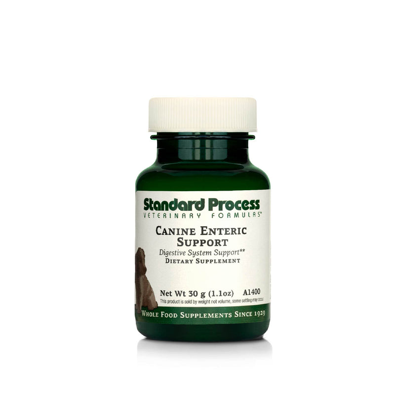 Standard Process Canine Enteric Support - Digestive System Support for Dogs - Nutritional Dog Supplement for Gut Health Support - Canine Supplement Formula to Aid Healthy Digestion - 30 g 30 Grams (Pack of 1) - PawsPlanet Australia