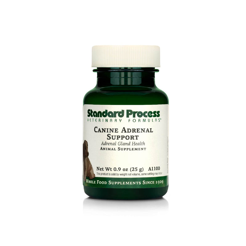 Standard Process Canine Adrenal Support - Canine Support Supplement for Adrenal Health - Nutritional Supplement for Liver & Kidney Support - Powder Dog Supplement Formula to Aid Adrenal Glands - 25 g 25 Grams (Pack of 1) - PawsPlanet Australia