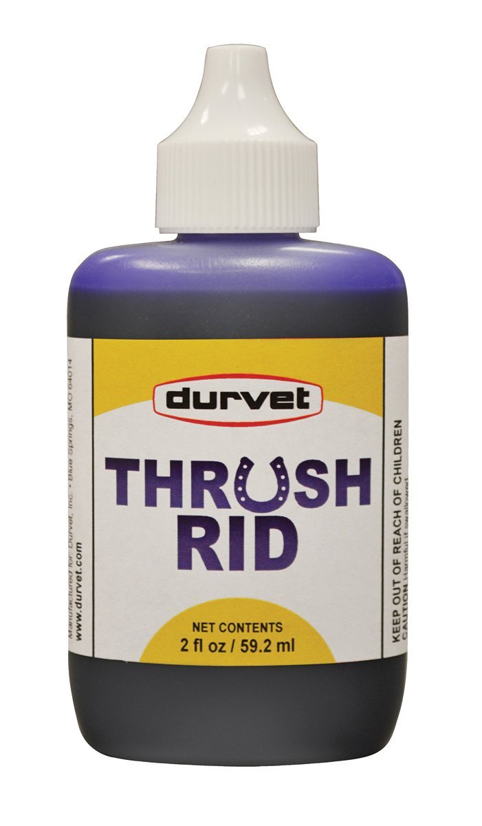 Durvet Thrush Rid for Horses 2 oz - PawsPlanet Australia