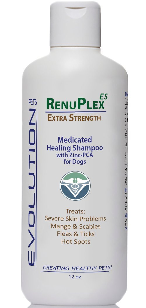 RenuPlex Medicated Dog Mange Shampoo. Extra Strength Mange Shampoo for Dogs Eliminates Mange, Dog Mites, Scabies. All Natural Dog Shampoo. Unconditional Guarantee. Made in USA - PawsPlanet Australia