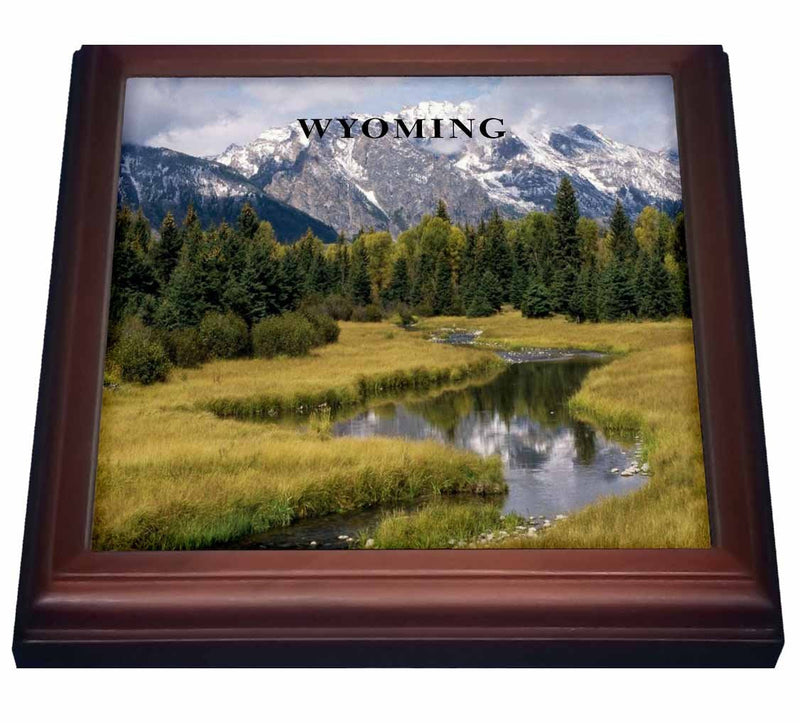 3dRose The Grand Tetons in Wyoming Trivet with Ceramic Tile, 8 by 8", Brown