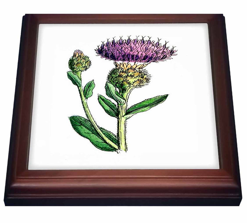 3dRose 1859 Image of a Vintage Thistle Trivet with Ceramic Tile, 8 by 8", Brown